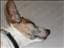 wilda-zero